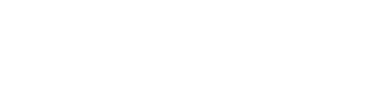 DMR Dent